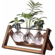 SUSWIM Plant Propagation Station, Plant Terrarium with Wooden Stand, Unique Gardening Birthday Gifts for Women Plant Lovers, Home Office Garden Decor Planter - 3 Bulb Glass Vases