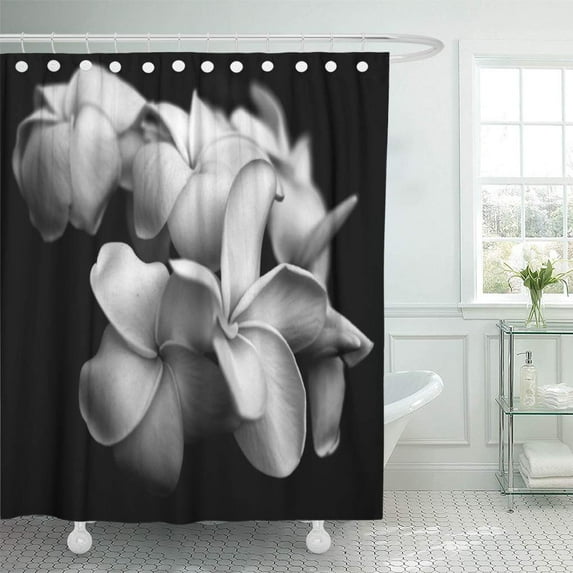 SUTTOM Flowers Plumerias in Black and Floral Nature Photography Tropical Shower Curtain 66x72 inch