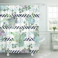 thumbnail image 1 of SUTTOM Green Colorful Succulent Echeveria Seamless Vector Design Print Natural Cactus Shower Curtain 66x72 inch, 1 of 1