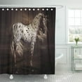thumbnail image 1 of SUTTOM Horse Leopard Appaloosa Stretched Dark Sepia Equine Artist Shower Curtain 60x72 inch, 1 of 1