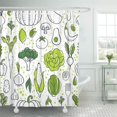 thumbnail image 1 of SUTTOM Pattern Green Veggie Farm Fresh Vegetables Sketch Food Healthy Shower Curtain 60x72 inch, 1 of 1