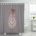 thumbnail image 1 of SUTTOM Pink Tropical Elegant Chick Rose Gold Pineapple Polka Dots Shower Curtain 66x72 inch, 1 of 1