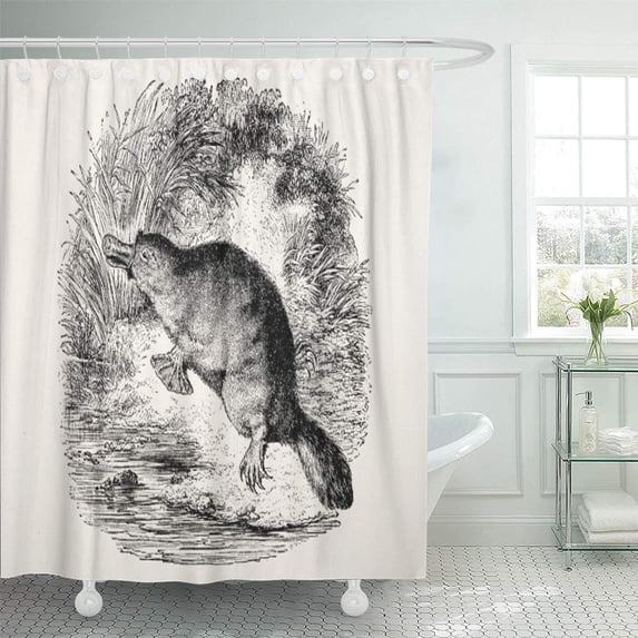 SUTTOM Vintage Duck Billed Platypus Personalized Retro Antique Shower Curtain 66x72 inch