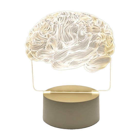 SUTWOEN Brain LED Optical Lamp Anatomical Human Brain Model Night Light With Metal Base Warm White Acrylic Brain Table Lamp Decor Lamp For Study Room Bedroom