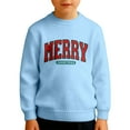 thumbnail image 1 of SUXIAN Boys Long Sleeve Crewneck Print Sweatshirt Soft Lined Thermal Pullover Top for Kids Winter Holiday Casual Wear with Boys Sweatshirts #1_Light Blue 3-4 Years, 1 of 5
