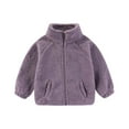 thumbnail image 1 of SUXIAN Girls Winter Coat Warm Thickened Stand Collar Color Embroidered Outerwear for Cold Weather Light Purple 3-4 Years, 1 of 3
