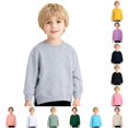 thumbnail image 1 of SUXIAN Sweatshirt Toddler Soft Casual Crew Neck Long Sleeve Pullover Top For Boys And Girls Daily Play Boys Sweatshirts Grey 4-5 Years, 1 of 7