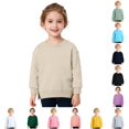 thumbnail image 1 of SUXIAN Sweatshirt Toddler Soft Casual Crew Neck Long Sleeve Pullover Top For Boys And Girls Daily Play Boys Sweatshirts Khaki 6-12 Months, 1 of 7