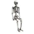 thumbnail image 1 of SUYOLL Halloween Decorations Skeleton Desktop Ornament For Festive Home Party Indoor Decal, 1 of 9