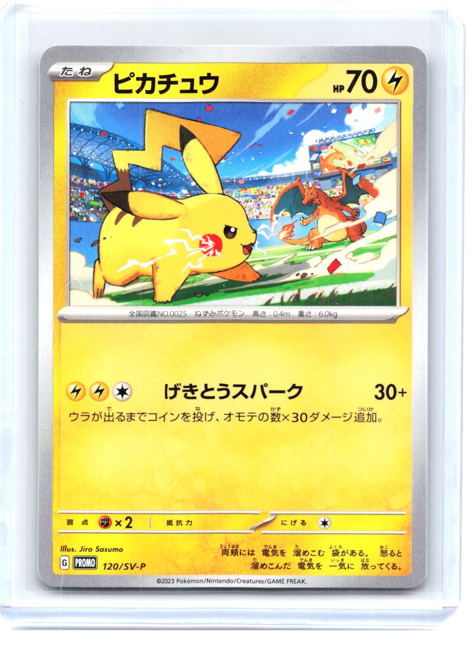 Custom Pokemon Cards