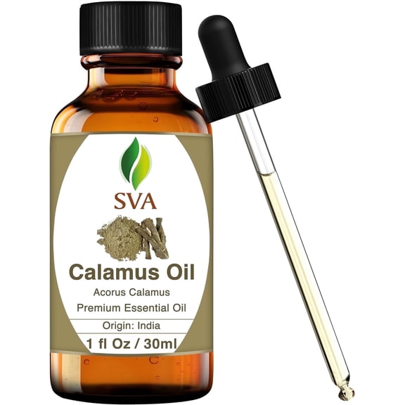 SVA Calamus Essential Oil – 1 Fl Oz – 100% Natural Calamus Oil - for Diffuser, Hair Care, Face, Skin Care, Aromatherapy, Scalp and Body Massage, Soap and Candle Making – with Dropper