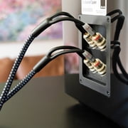 SVS SoundPath Ultra Bi-Wire 10Ft Banana