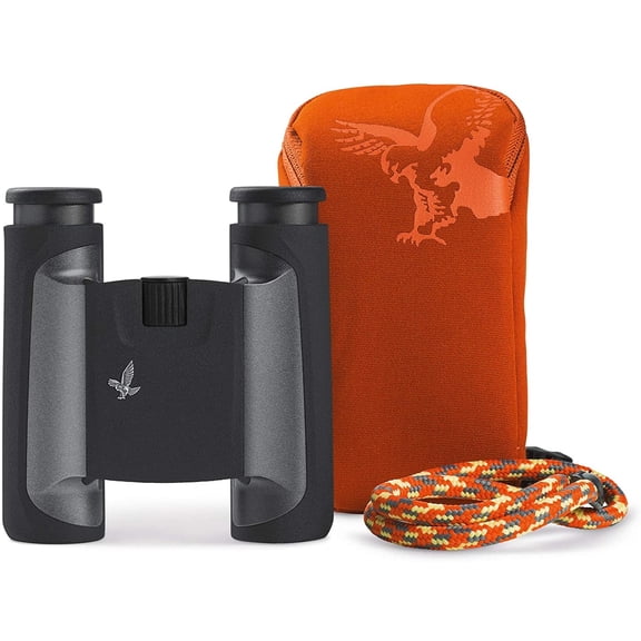 SWAROVSKI 10x25 CL Pocket Binoculars (Anthracite, Mountain Field Bag)