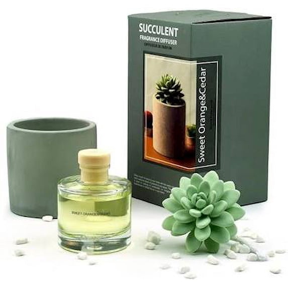 SWEET ORANGE CEDAR Pretty Valley Succulent Ceramic Fragrance Diffuser 100ml
