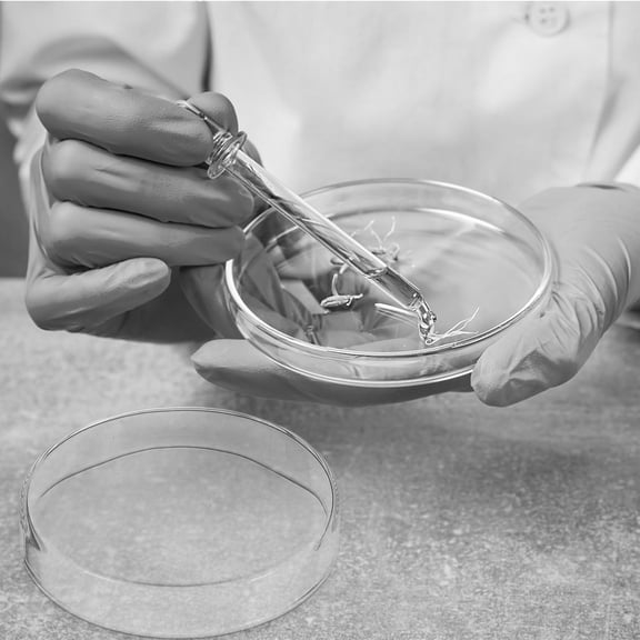 SWETRACE 1Set Durable Glass Culture Dishes with Lids Clear Cell Culture Plates for Laboratory