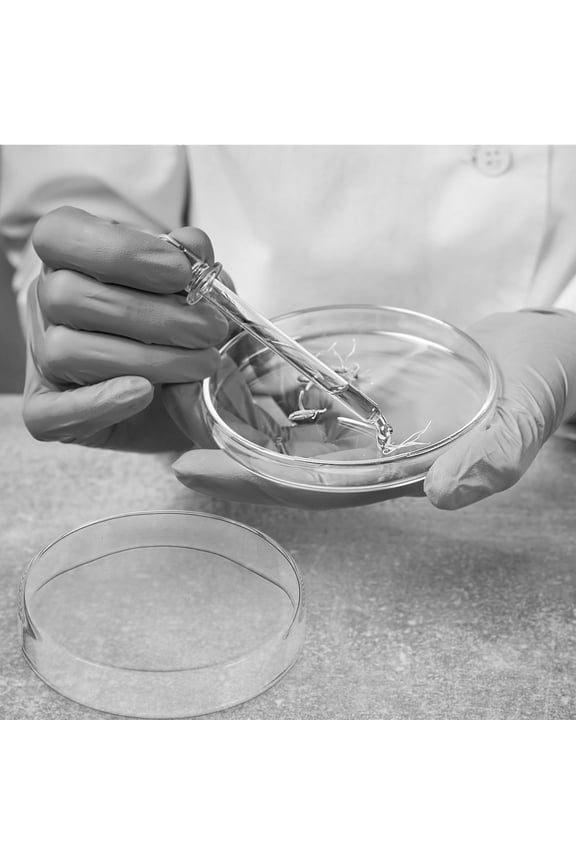 1Set Glass Petri Dishes with Lids Durable Transparent Laboratory Culture Plates for Science Use