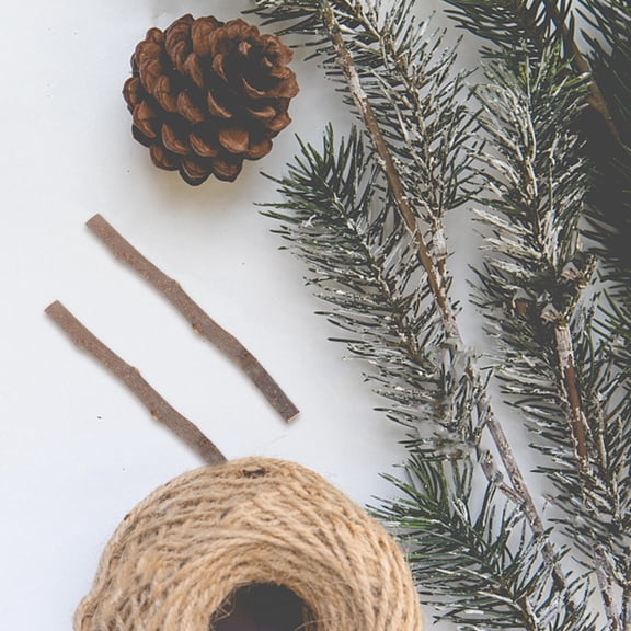 SWETRACE Natural Mini Wooden Sticks Craft Project Rustic Home Decor 10 Count