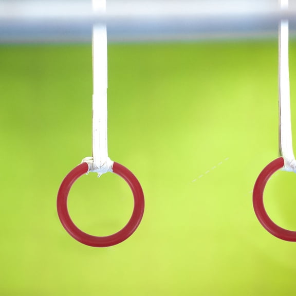 SWETRACE 2Pcs Exercise Rings Men Multi-Function Workout Equipment for Strength Training and Gymnastics in Red