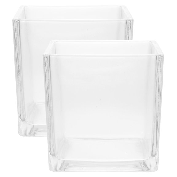 SWETRACE 2pcs Cube Glass Flower Vase for Table Centerpiece Home Decor