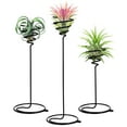 thumbnail image 1 of SWETRACE 3Pcs Metal Spiral Air Plants Stands for Home and Office Decorative Use, 1 of 8