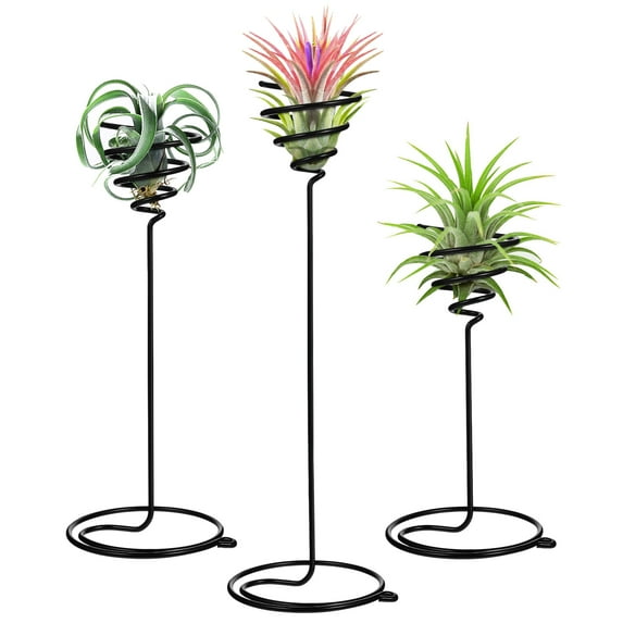 SWETRACE 3Pcs Metal Spiral Air Plants Stands for Home and Office Decorative Use