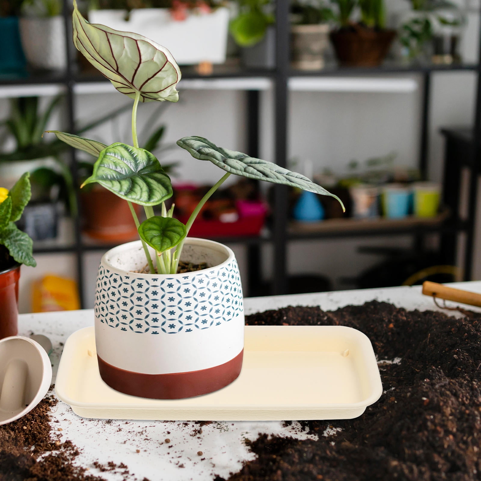 SWETRACE 3Pcs Plastic Planter Tray Beige Rectangular Flower Pot Saucer ...