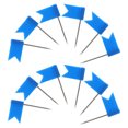 Map Pin Shape Blue SWETRACE 60Pcs Map Push Pins Blue Flag Shape Decorative Marking Pins ...