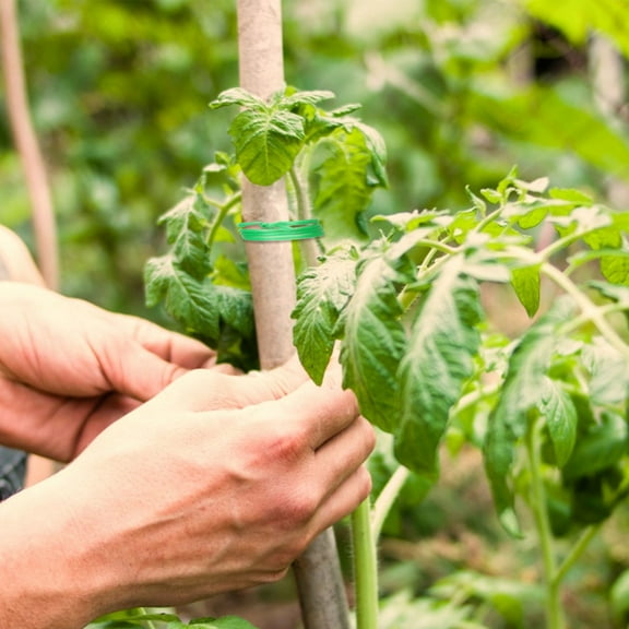 SWETRACE Garden Wire Roll 2 Rolls of Green Vine Tie Straps in 100m per Roll