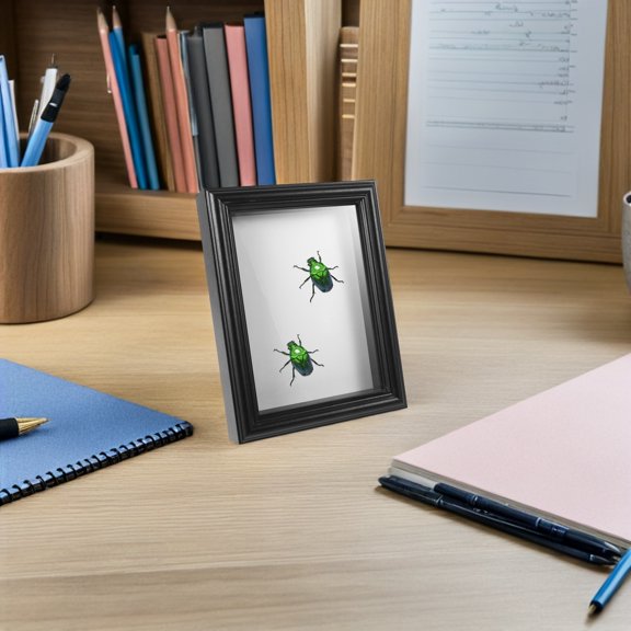 SWETRACE Insect Display Case with Clear Glass and Black Wood Frame for Specimen Collection and Presentation
