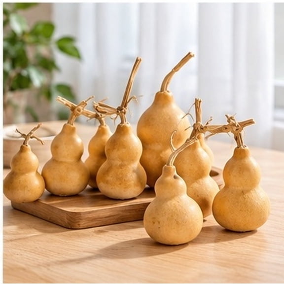 SWETRACE Mini Natural Gourds, 10 Pcs Decorative Calabash Ornaments for Indoor Display