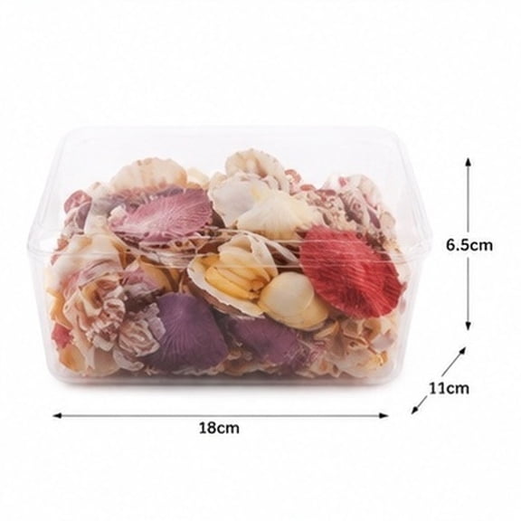 SWETRACE Mixed Shell Aquarium Decor Bag, Natural Conch Pieces for Fish and Scenic Display