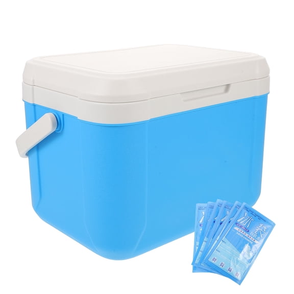 SWETRACE Outdoor Cooler Box with Ice Pack, Portable 5.5L Insulated Lunch Chest Set