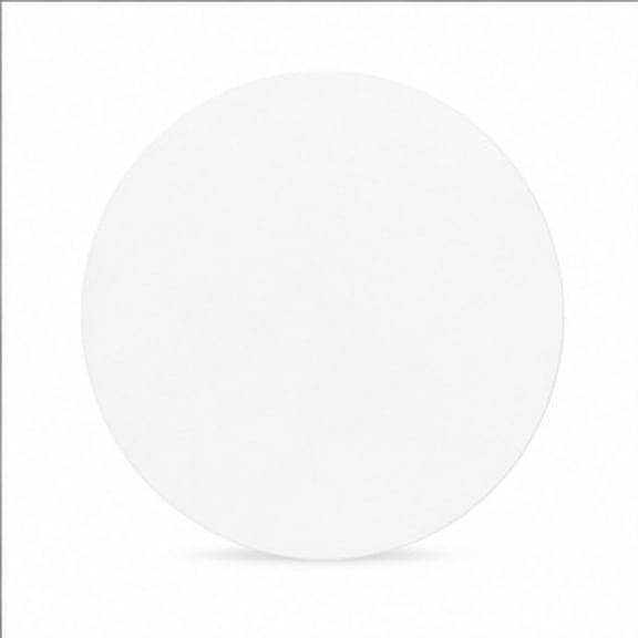 SWETRACE Round Frosted Light Diffuser Panels, Acrylic Replacement Shades for Ceiling Lamps