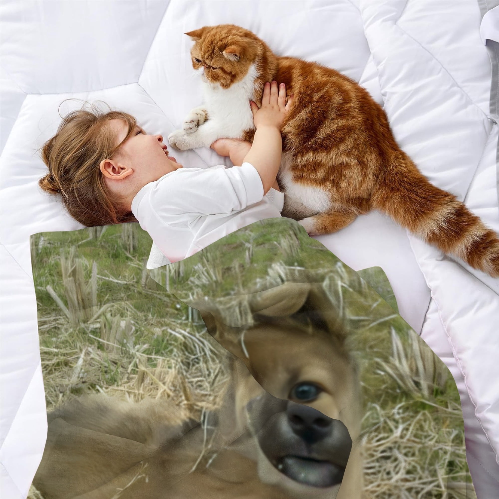 SWIFT Backdrop Banner Party Supplies Poster Movie Theme Background for ...