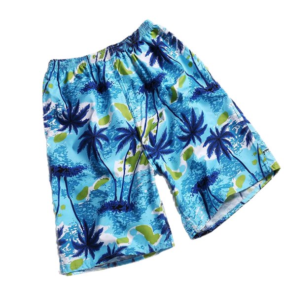 SWSMCLT Men's Beach Bathing Suit Summer Light Boyshort Swimsuit Swim Shorts Hawaiian Surf Mid Rise Loose Style4 Small