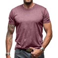 thumbnail image 1 of SWSMCLT Men's Cotton T Shirt Slim Fit Fall Basic Casual Date Night Spring Home Stretch Top Shirt Soft Crew Neck Vermillion Large, 1 of 5