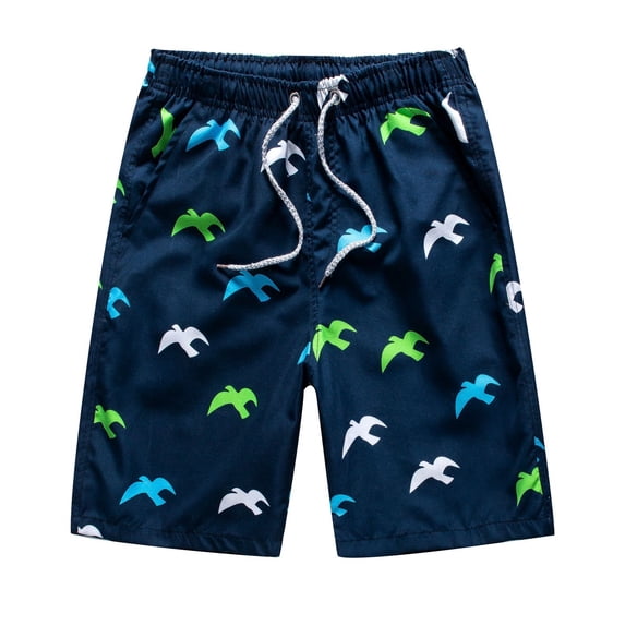 SWSMCLT Men's Swim Shorts Beach Bathing Suit Boyshort Surf Quick Dry Light Swimwear Summer Loose Mid Rise Style4 Large