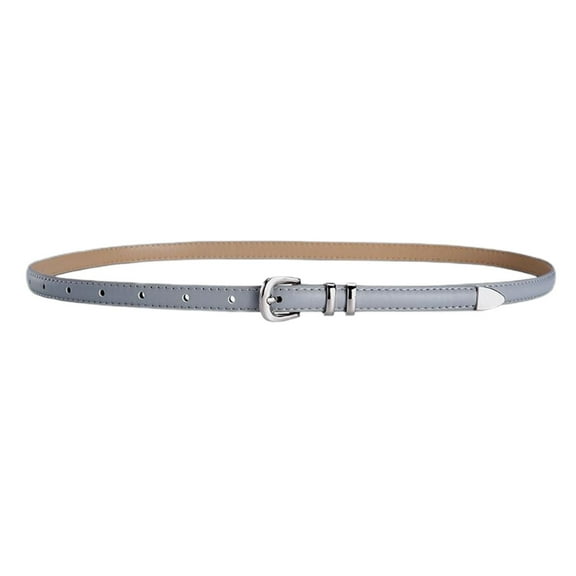 SWSMCLT Women's Fashion Classic Metal Summer Skinny Belt Buckle Belt For DressSpring Casual D Ring Basic Grey Small-Large