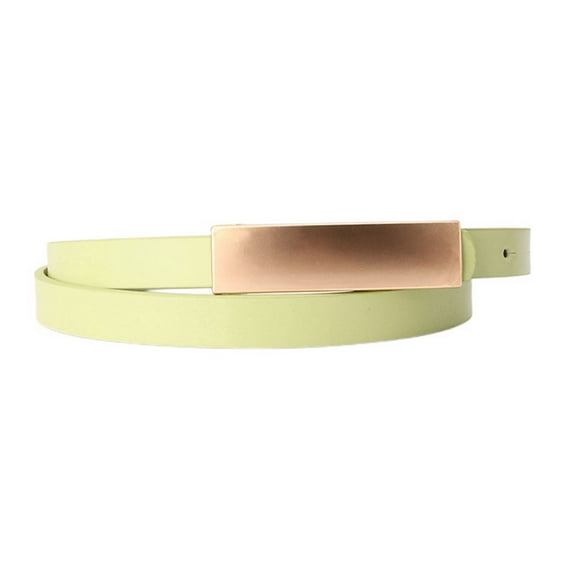 SWSMCLT Women's Gold Metal Buckle Party Club Faux Leather Skinny Belt for Dress Fashion Slimming Slim Narrow Dress Belts Light Green One Size