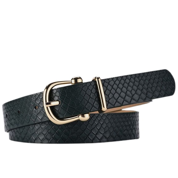 SWSMCLT Women's Metal D Ring Fall Medium Basic Spring Faux Leather Belt Buckle Metal Buckle Casual Regular Fit Dark Green Small-Large