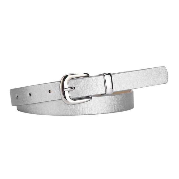 SWSMCLT Women's Skinny Adjustable Belts Buckle Belt Casual Fashion Travel D Ring Winter Summer Metal Buckle Silver X-Small-Large