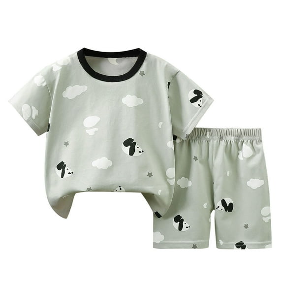 SROBPTY Girls' Summer Outfit Sets Clothing,Kids Sets Clothing,Children's Summer Cotton Printed Short Sleeved Round Neck T-shirt+shorts Two-piece Set