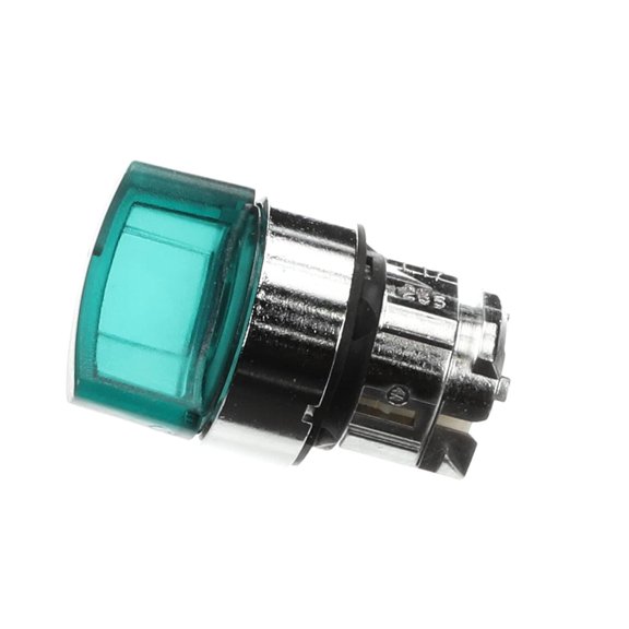 SWT, 2POS, MAINT, ILL, GRN OSSI-0017 - Genuine OEM Replacement Part