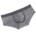 thumbnail image 1 of SXcggal Men's Triangle Pants Sexy Low Waisted Fun Quick Drying Ultra Thin Summer Mesh Fully Transparent Underwear Breathable Sexy Soft Men's Underpants, 1 of 4