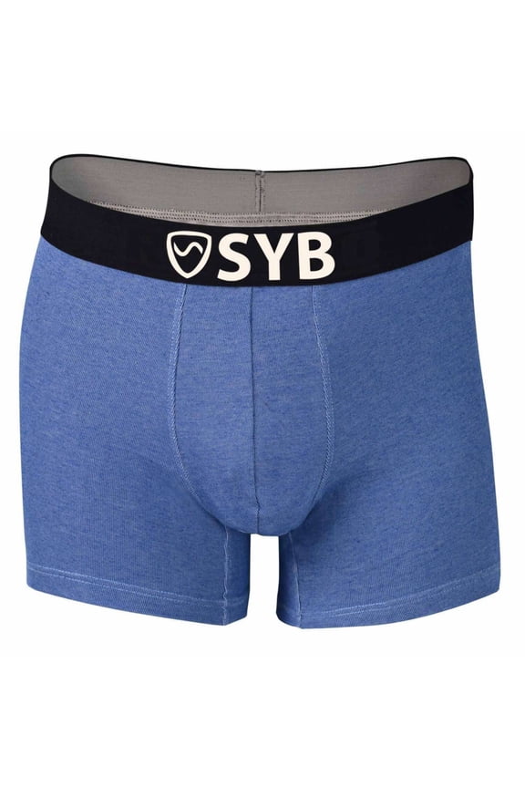 SYB Boxer Briefs, Anti-Radiation EMF Protection, X-Large (40 – 42), Blue