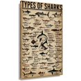 thumbnail image 1 of SYDposter Shark Wall Art Unframed Pictures Prints Knowledge Poster Decorations For Wall Home Decor Animals Canvas Chart Poster Office Artwork Modern Vintage Painting Decor Unframed (12x18 inch), 1 of 6