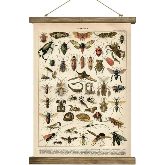SYDposter Vintage Poster,Rustic Art Prints, Retro Style of Wall Hanging for Living Room Office Classroom Bedroom Playroom Apartment Decor. (Insects B 1Panels, 16\u201c x 24\u201d)