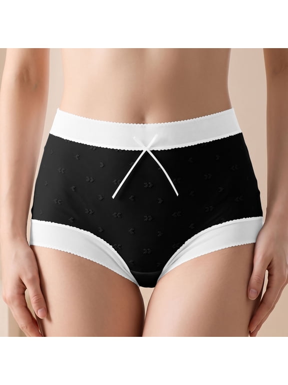 Plus Size Sheer Mesh Panties for Women, Mid Waist Full Coverage Briefs, Jacquard Dotted Everyday Underwear, XL-XXXL,Size XL