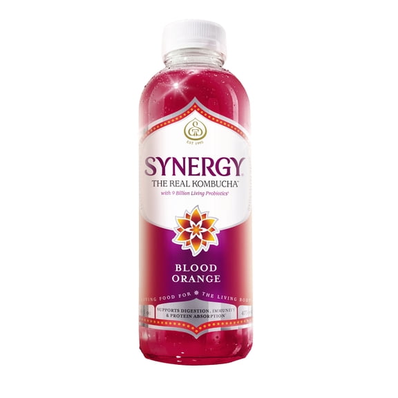 GT's Synergy Raw Blood Orange Kombucha 16 fl oz