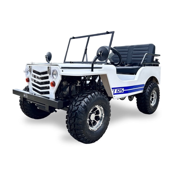 SYX MOTO 125cc Go Kart 4-Wheeler, 3-Speed + Reverse, Electric/Kick Start, 35 MPH Max Speed for Teens & Adults, White/Blue